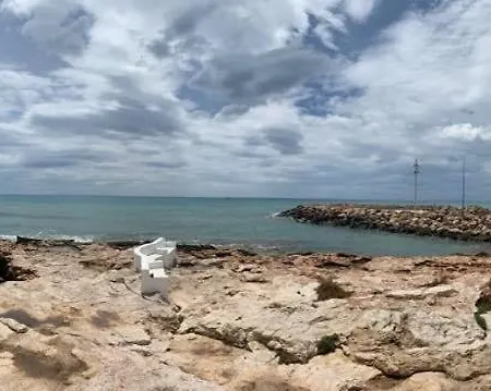 Carmen Torrevieja