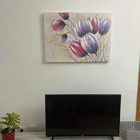 Carmen Apartment *